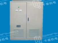 無觸點調(diào)磁保磁控制柜QHWK3系列 無觸點調(diào)磁保磁控制柜QHWK3系列